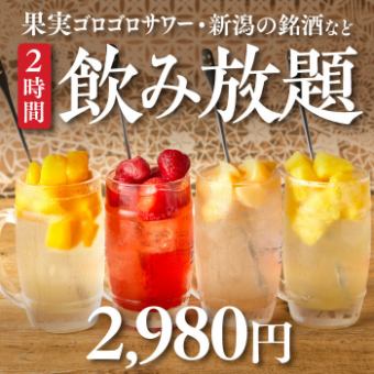 【単品飲み放題】純米大吟醸など新潟の銘酒や果実ゴロゴロサワー各種付き2時間飲み放題2980円