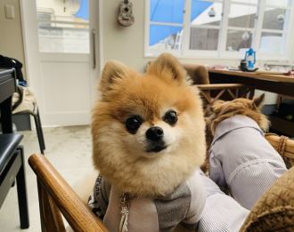 龍潭的萬燦人