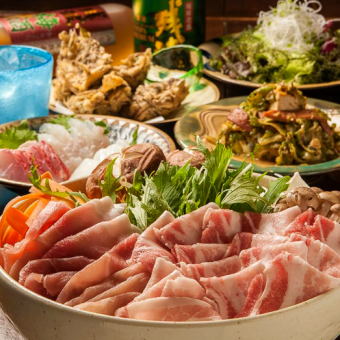 Okinawa brand pork shabu-shabu course