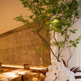 店内入口の鉢には、週替わりで季節を彩る植物が植えられております。特に春の桜は絶景です！