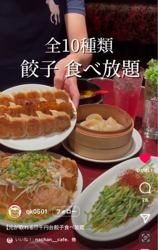 SNSで話題の餃子2時間食べ放題プレミアム10種以上（大塚駅前店でも予約可能＊追加で飲み放題も付けられます