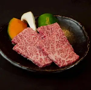 上赤身