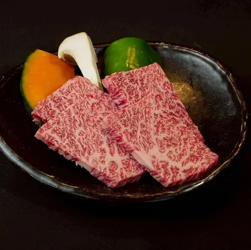 上赤身