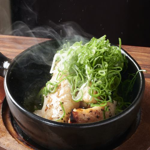 炙り焼きたっぷりネギ添え