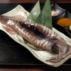 青森県産 豪快！スルメイカ一本焼き