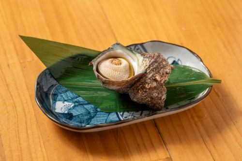 サザエ