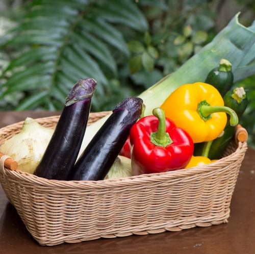 【地元食材を活かした手作り料理への情熱】