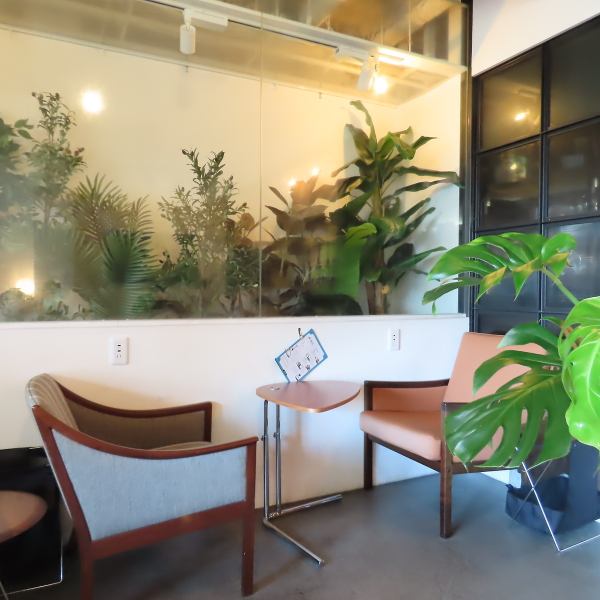 ◆～女子会にもおすすめ～◆グリーンとビンテージ家具に囲まれたナチュラルでクローズドな空間。そこでシーシャやドリンクを楽しみながらガールズトーク。のんびりチルしたい女性が集まる、ちょっぴり大人な空間です。