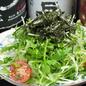Refreshing and Japanese style salad