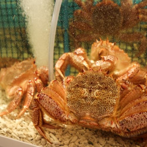 【蟹専門店】卸直営!