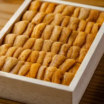 特選食材と旬の極みコース｜13,000円