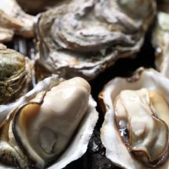 [All-you-can-eat oyster course!] All-you-can-eat raw and grilled oysters for 2 hours! 5,500 yen <500 yen off Monday to Thursday>