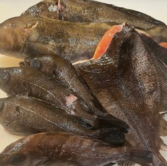 Red-eyed snapper, filefish, flounder with roe, blackthroat seaperch, etc.