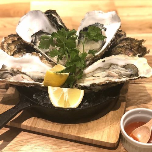 Sanriku raw oysters