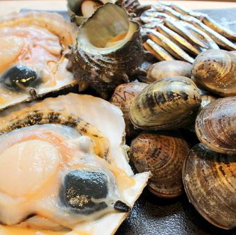 Assorted seafood (scallops, turban shells, binos)