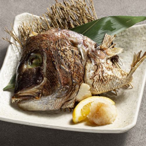真鯛の兜焼き～数量限定～