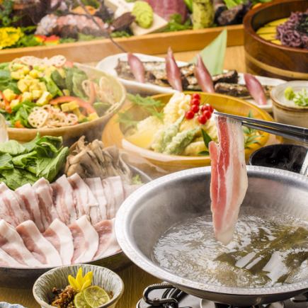 12月26日~【2時間飲み放題付】とり天×豊後豚しゃぶしゃぶ◎全9品松コース【7000円→6000円】