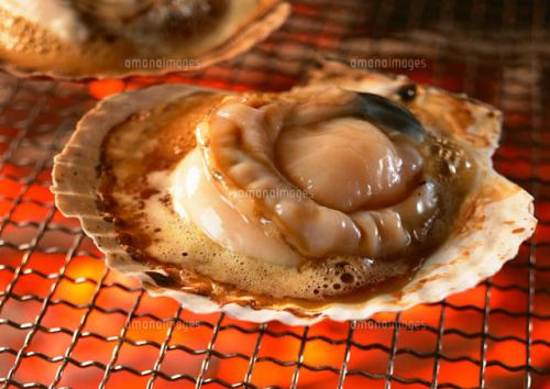 Grilled scallop (1 piece)