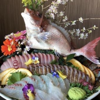 <120 minutes all-you-can-drink> Carefully selected ingredients! Whole sea bream sashimi, sashimi platter & Waou steak included! 120 minutes [all-you-can-drink] + 10 dishes total 6000 yen (tax included)