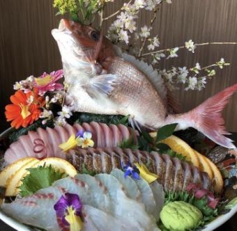 <120 minutes all-you-can-drink> Carefully selected ingredients! Whole sea bream sashimi, sashimi platter & Waou steak included! 120 minutes [all-you-can-drink] + 10 dishes total 6000 yen (tax included)