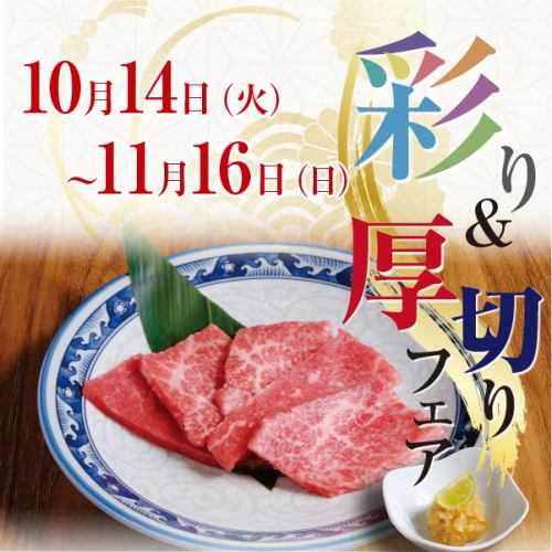 ★和牛彩り&厚切りフェア開催★