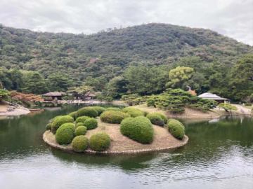 やってきたきた
栗林