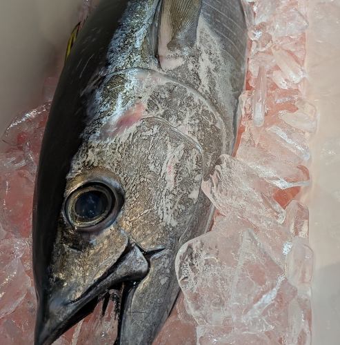 市場直送の旬食材を堪能！