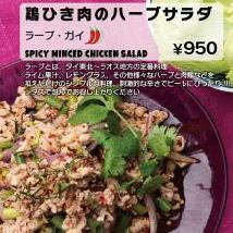 minced chicken herb salad