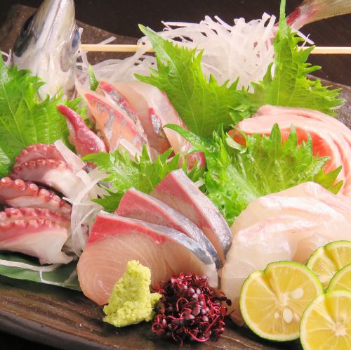 香川県魚、活はまち刺身！