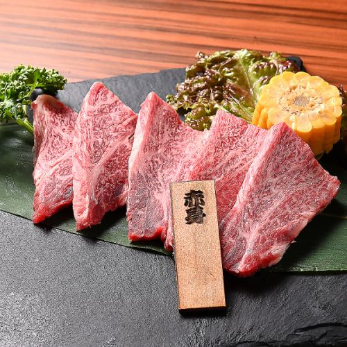 赤身