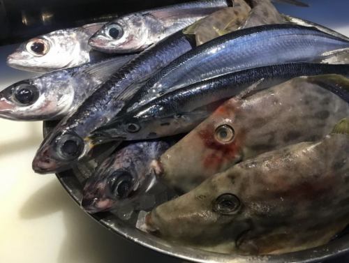 日本酒や焼酎、ビールとの相性◎一から調理した絶品料理！