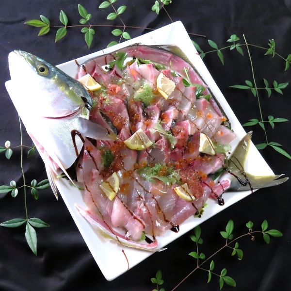 1日限定2台 姿入りカルパッチョ