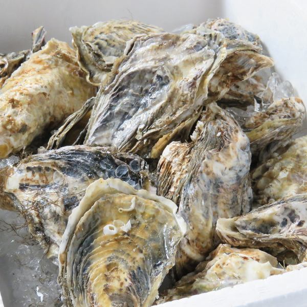 原価提供！！新鮮生牡蠣！！