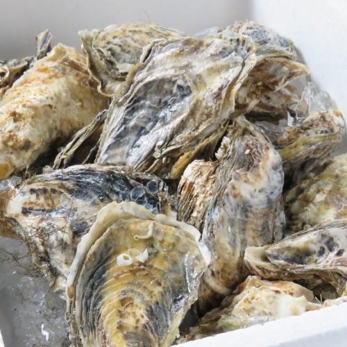 原価提供！！新鮮生牡蠣！！