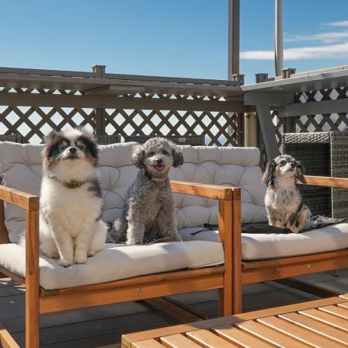 愛犬も一緒に楽しめる♪