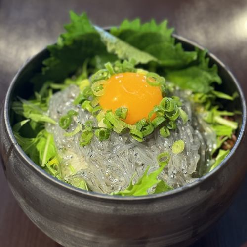 【絶品】朝獲れ湘南生しらす丼
