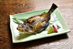 Sohachi flounder