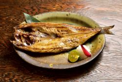 open atka mackerel