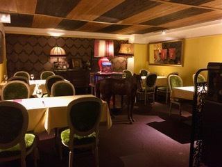 フルコース+２h飲み放題付/→￥10000-(税込)(禁煙)