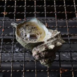 サザエの壺焼き 1ヶ