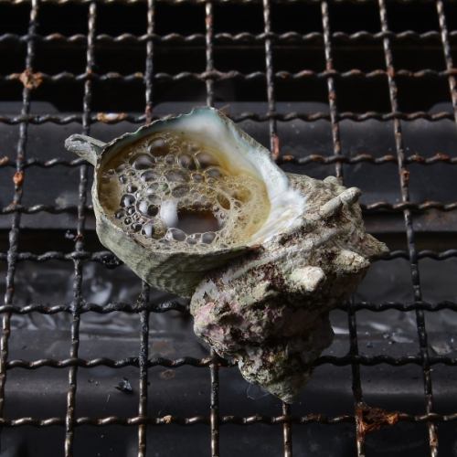 サザエの壺焼き 1ヶ