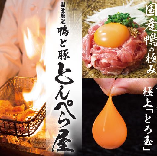 鴨と豚 とんぺら屋 豊田本店 公式