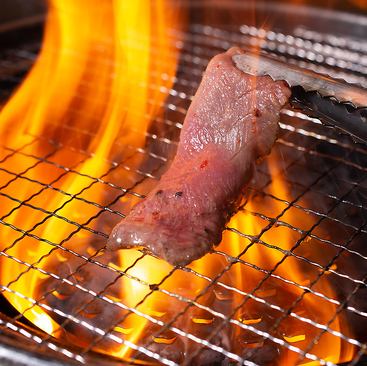 【ビールあり】ハネモン屋のお得な飲み放題！60分1,529円(税込)