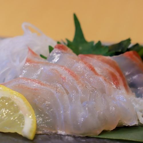 Sashimi of red sea bream from Ehime Prefecture
