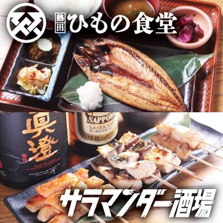 昼間はひもの食堂・夜は海鮮大衆酒場サラマンダー酒場