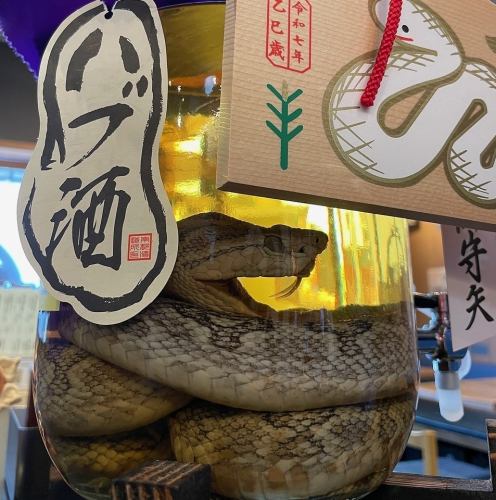 ハブ酒もご用意