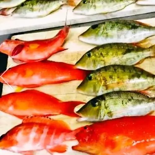 究極の島食材 『鮮魚』