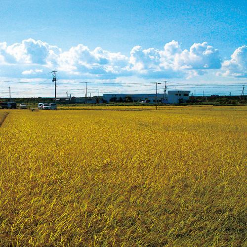 こだわりの国産米♪