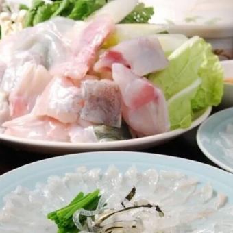 토라 복어 달 코스