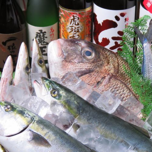 金槍魚是“生的”！每天都有來自市場的新鮮魚